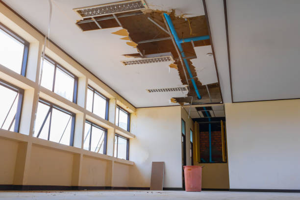 Best Water damage contractors near me  in Richmond West, FL