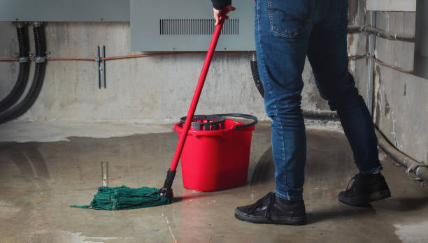  Richmond West, FL Water damage restoration Pros