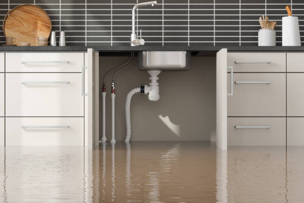 Best Professional water damage repair  in Richmond West, FL