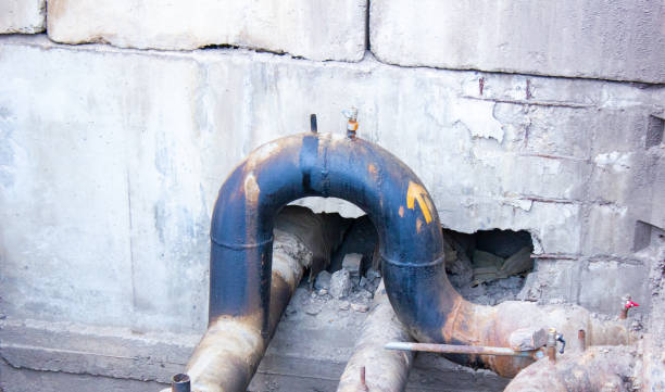 Best Water damage cleanup near me  in Richmond West, FL